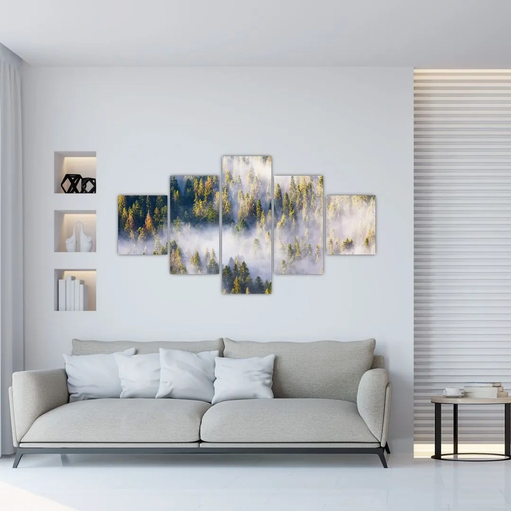 Obraz drzew we mgle (125x70 cm)