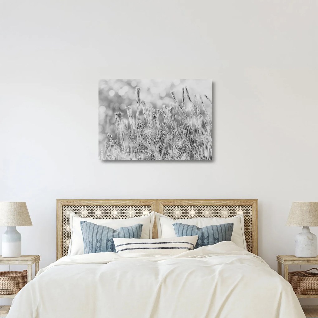 Obraz na szkle - Mroźna zima (70x50 cm)