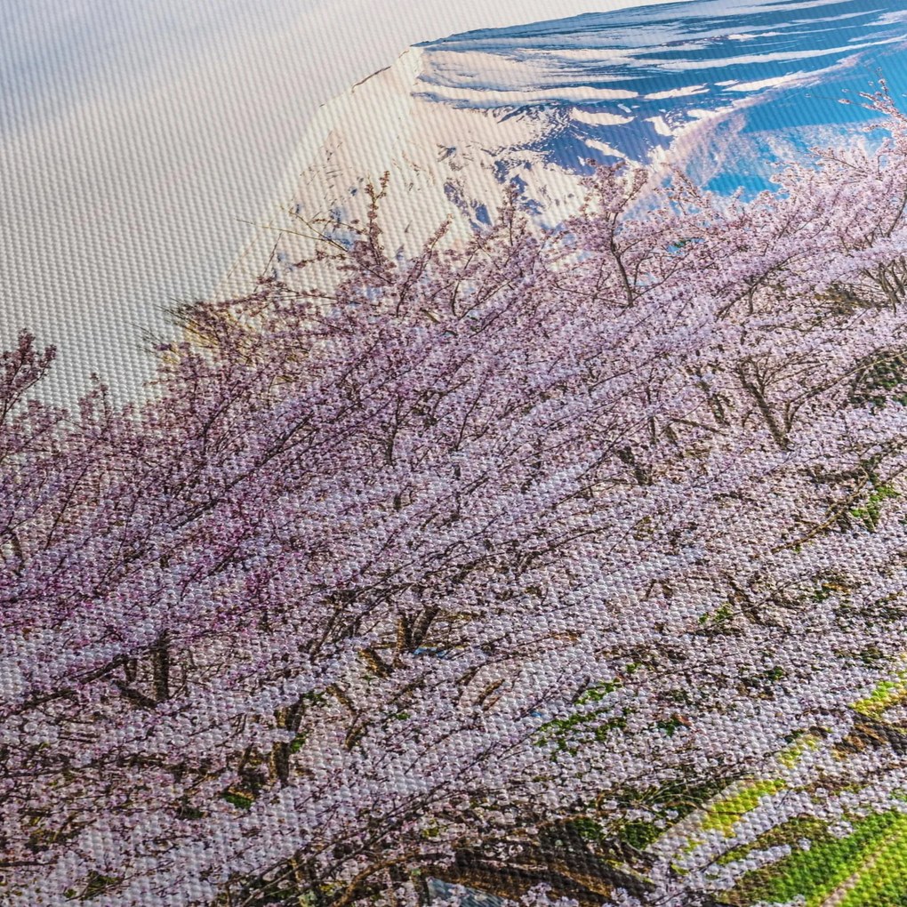 Obraz - Japonia wiosną (170x50 cm)