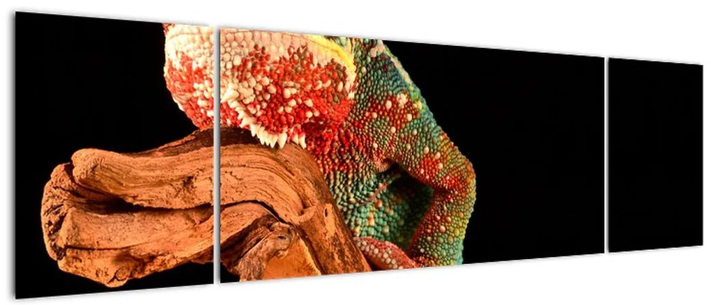 Obraz kameleona na gałęzi (170x50 cm)