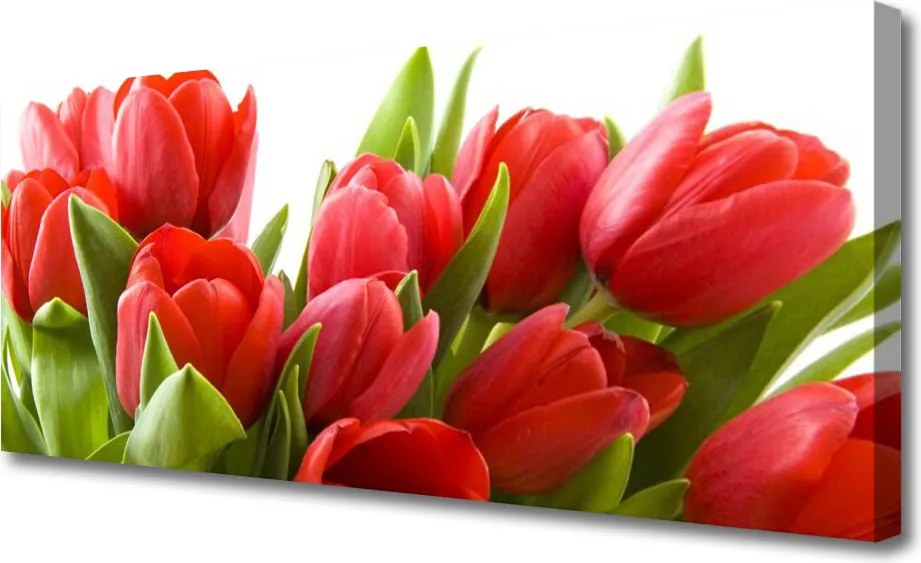 Obraz na płótnie Wiosenna Świeżość Tulipanów