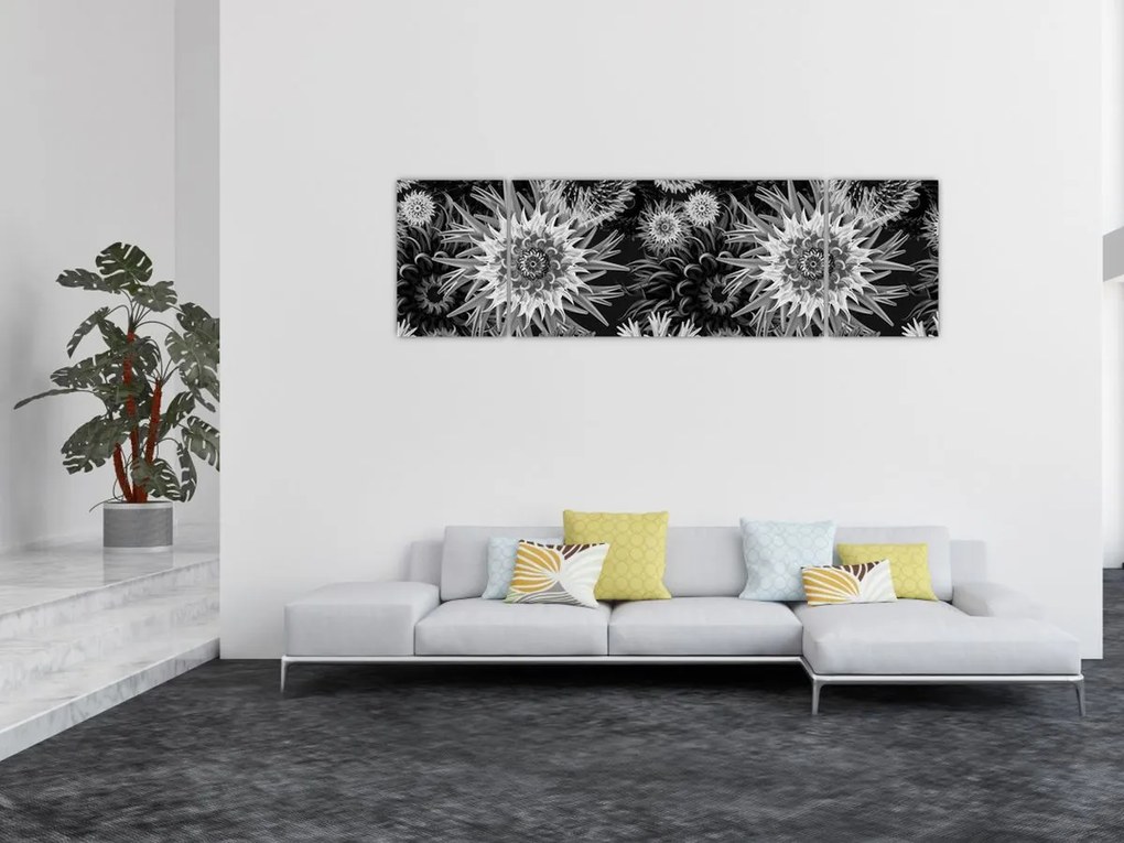 Obraz - Czarne i białe osty (170x50 cm)