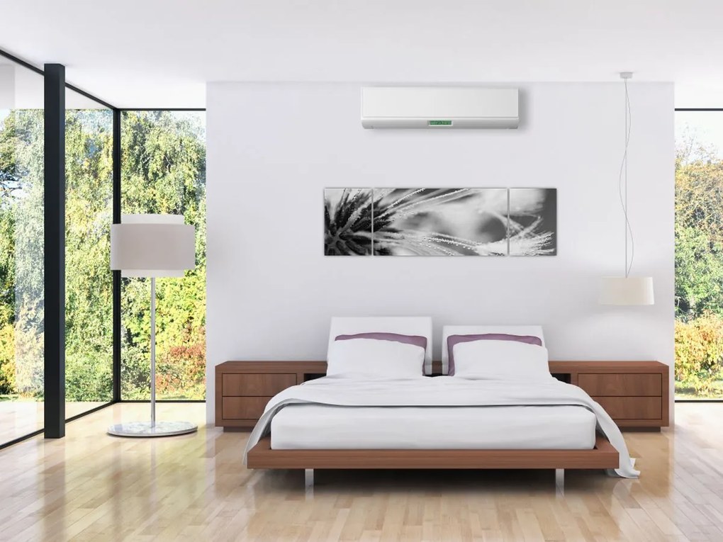 Obraz - Makro, czarno - biały (170x50 cm)