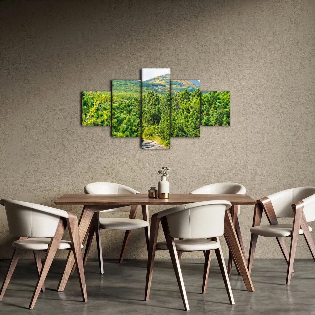 Obraz - Babia Góra, Polska (125x70 cm)