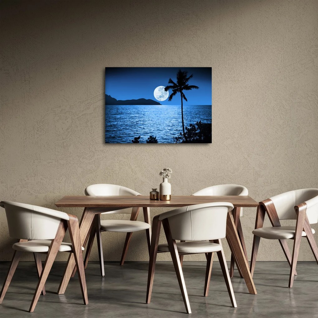 Obraz - Księżyc nad poziomem morza (70x50 cm)