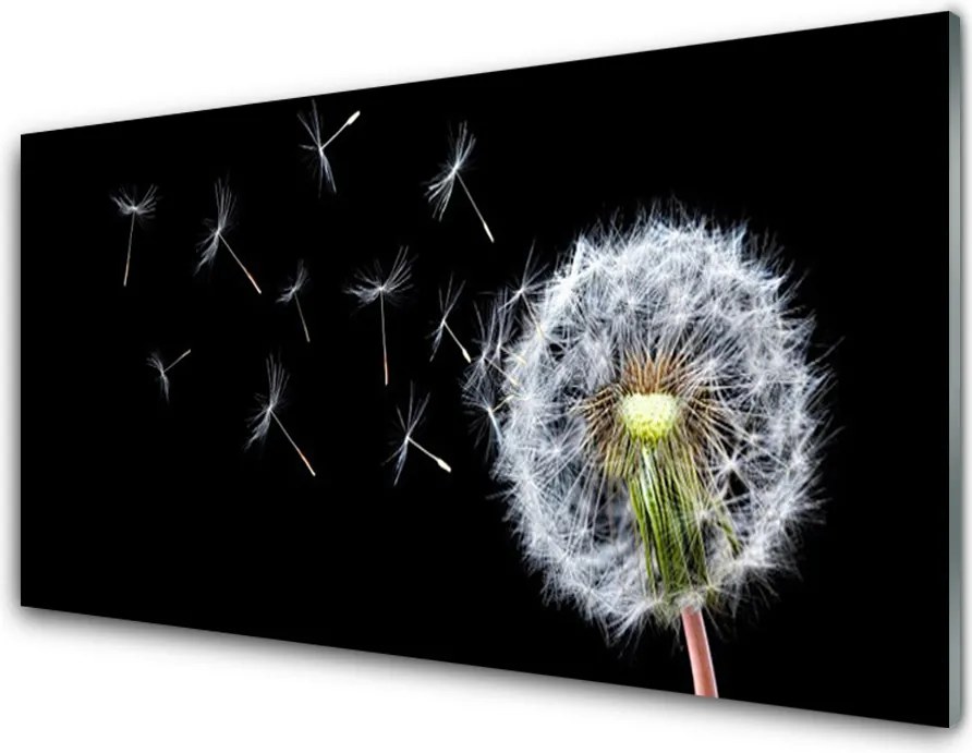 Panel Szklany do Kuchni Polny Urok Dmuchawców