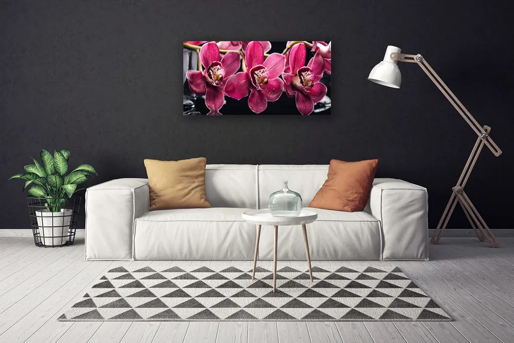 Obraz Canvas Kwiaty Orchidea Pędy Natura