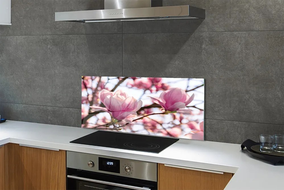 Panel nad Blat Kuchenny Magnolie w Sercu Parku