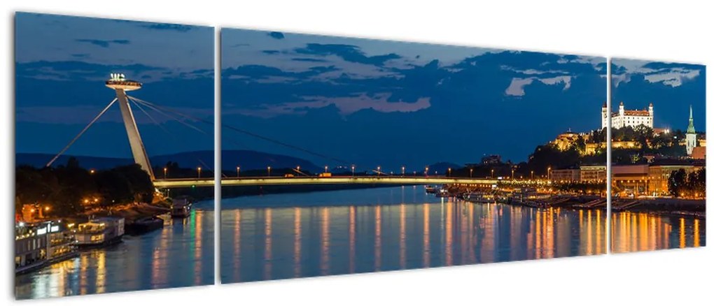 Obraz Bratysławy z zamkiem (170x50 cm)