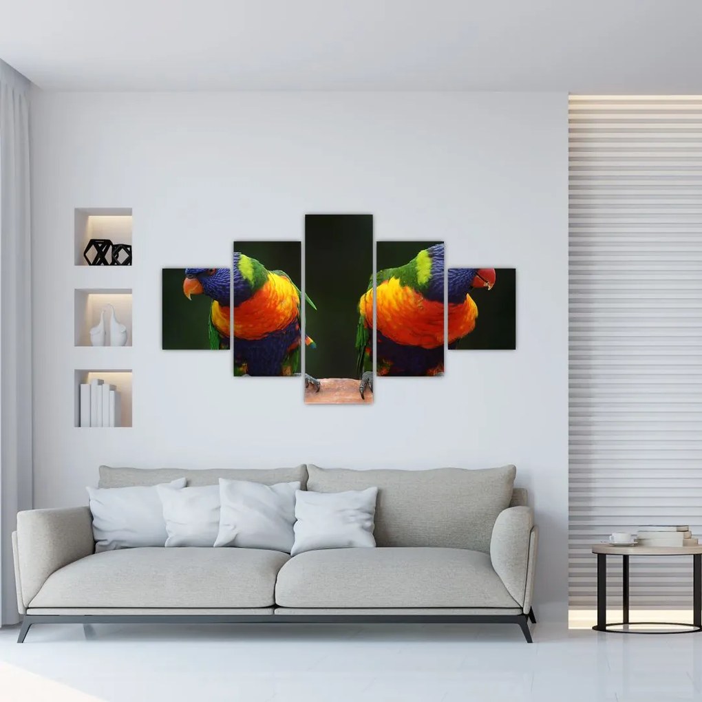 Obraz papug (125x70 cm)