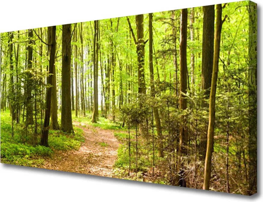 Obraz na płótnie Ścieżka w Głębi Lasu