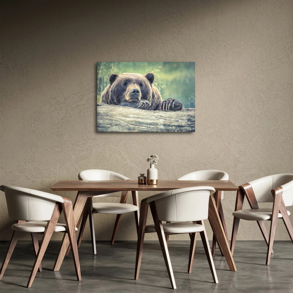 Obraz niedźwiedzia (70x50 cm)