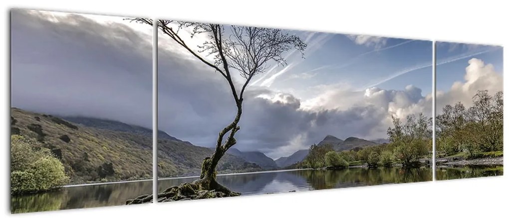 Obraz rzeki z drzewem (170x50 cm)
