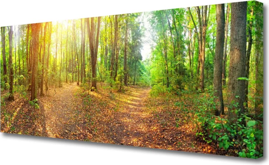 Obraz canvas Tulipany w Blasku Dnia