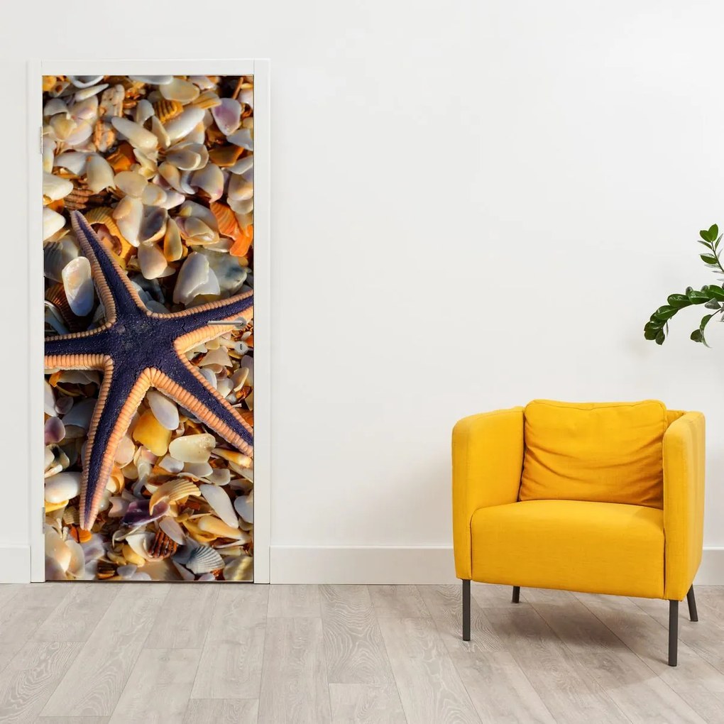 Fototapeta na drzwi - Rozgwiazda (95x205cm)