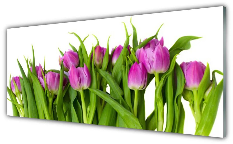 Panel Kuchenny Tulipany Kwiaty Roślina