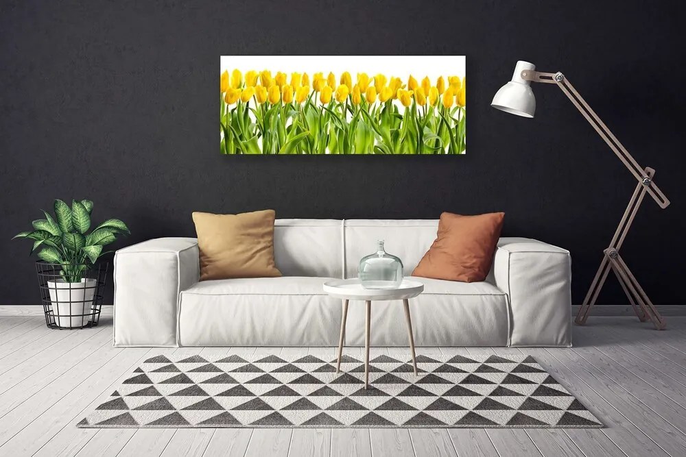 Obraz Canvas Tulipany Kwiaty Natura