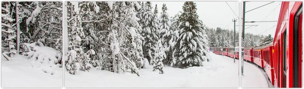 Obraz - Pociąg w zaśnieżonym krajobrazie (170x50 cm)