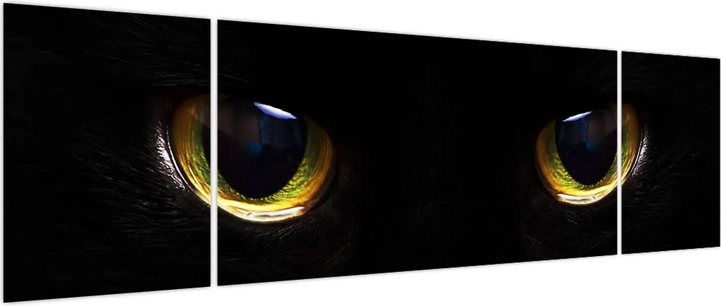 Obraz - Kocie oczy (170x50 cm)