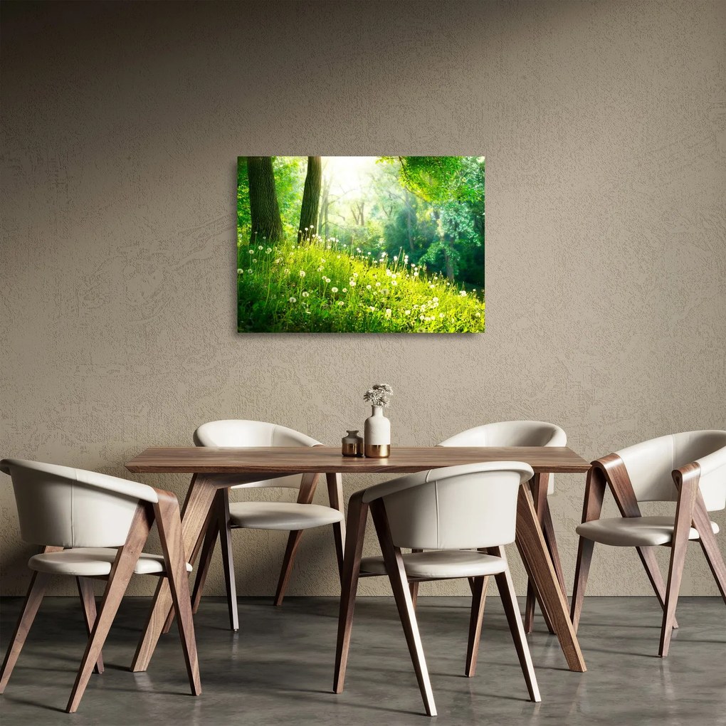 Obraz na szkle - Magiczna łąka pełna mniszków lekarskich (70x50 cm)