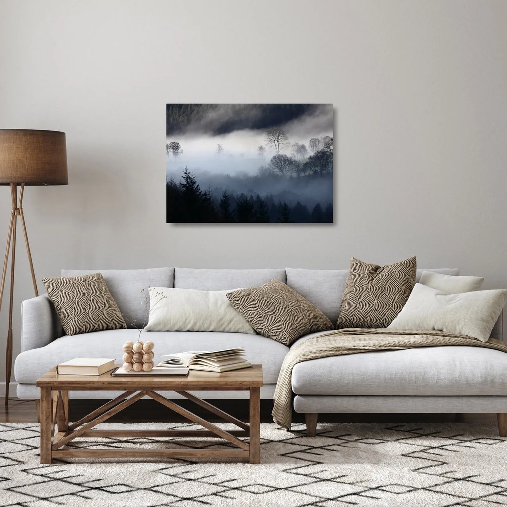 Obraz na szkle mgły nad lasem (70x50 cm)