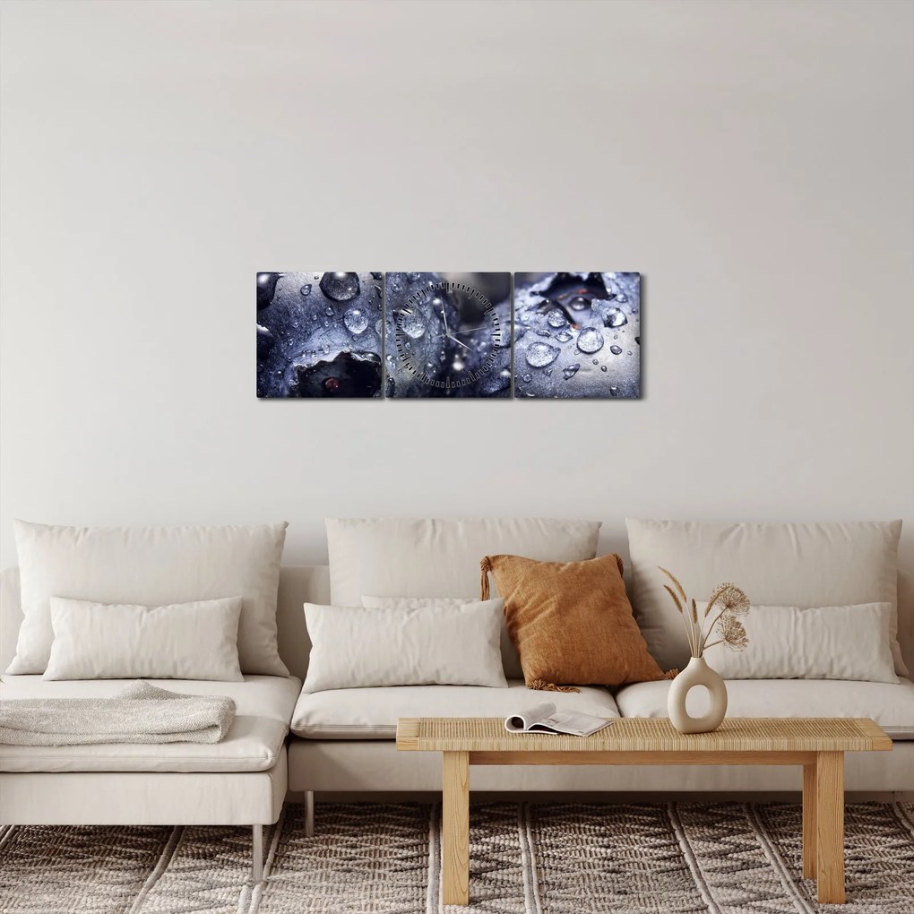 Obraz owoców z kroplami wody (z zegarem) (90x30 cm)