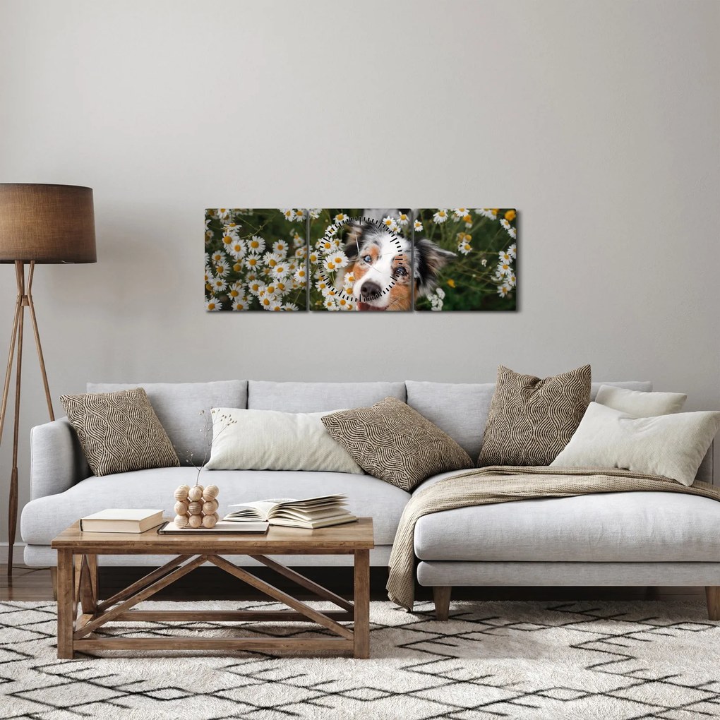 Obraz - Owczarek australijski (z zegarem) (90x30 cm)