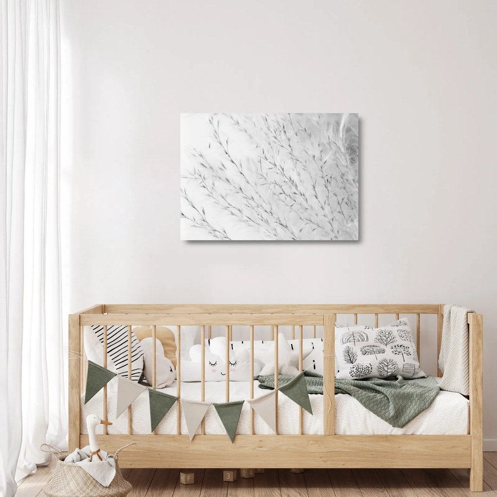 Obraz na szkle - Trawa pampasowa N⁰2 (70x50 cm)