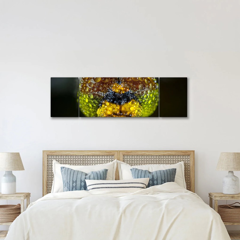 Szczegółowy obraz oczu owadów (170x50 cm)