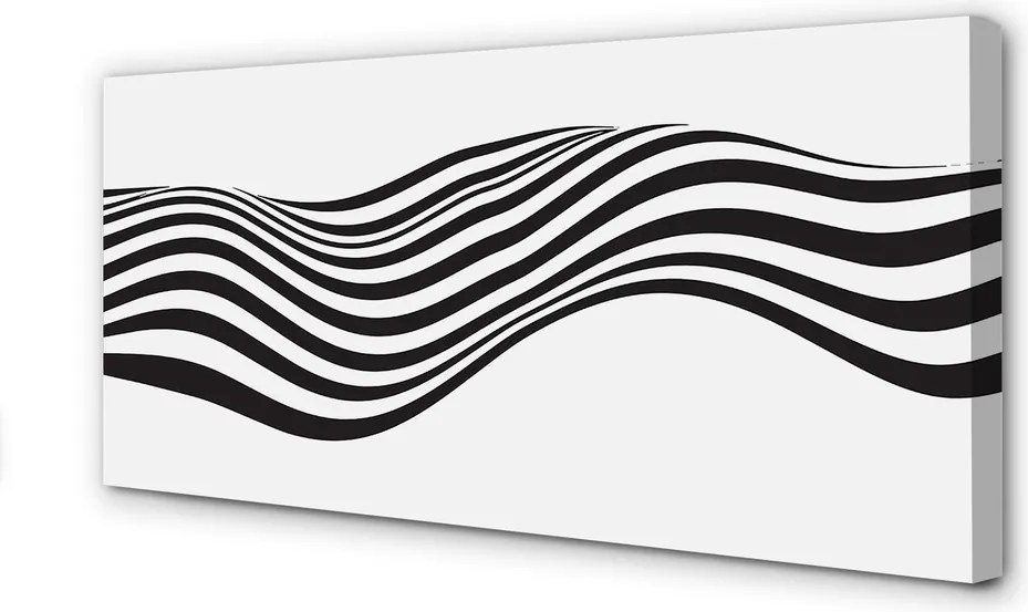 Zdjęcie na płótnie Falujący Wzór Zebry