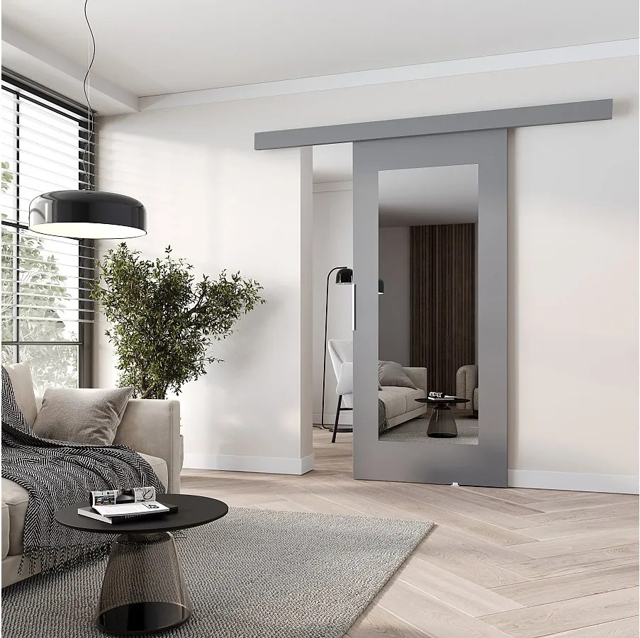 MINIO go for it, Drzwi przesuwne wewnętrzne CLEAN I 96 cm, z lustrem,  w kolorze szarym