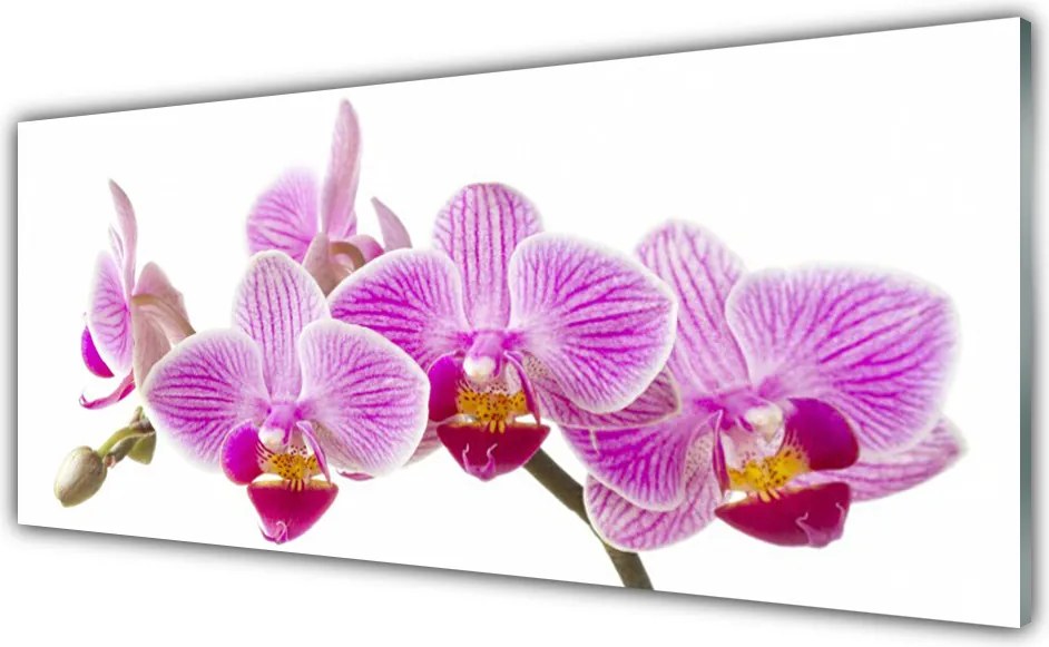 Szkło nad Blatem Wyrafinowany Bukiet Roślinny