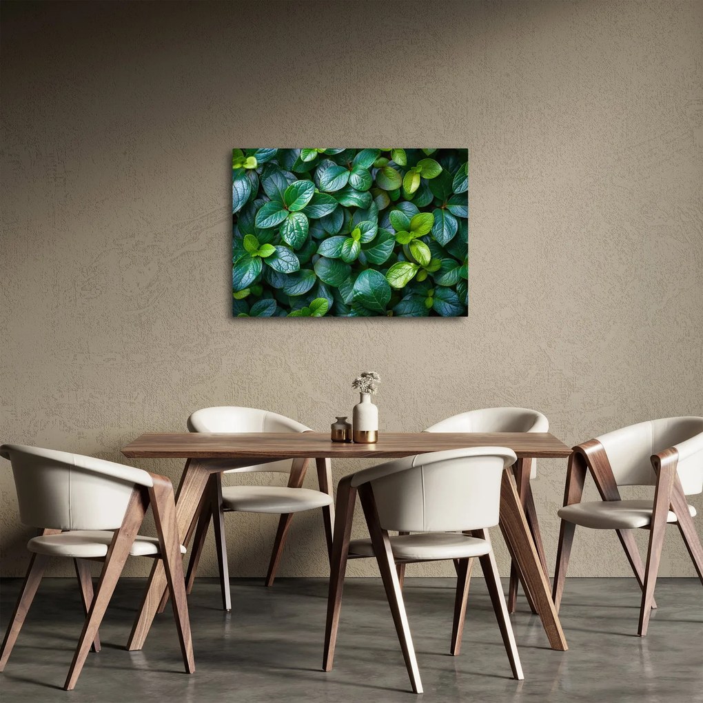 Obraz - Rośliny zielone (70x50 cm)