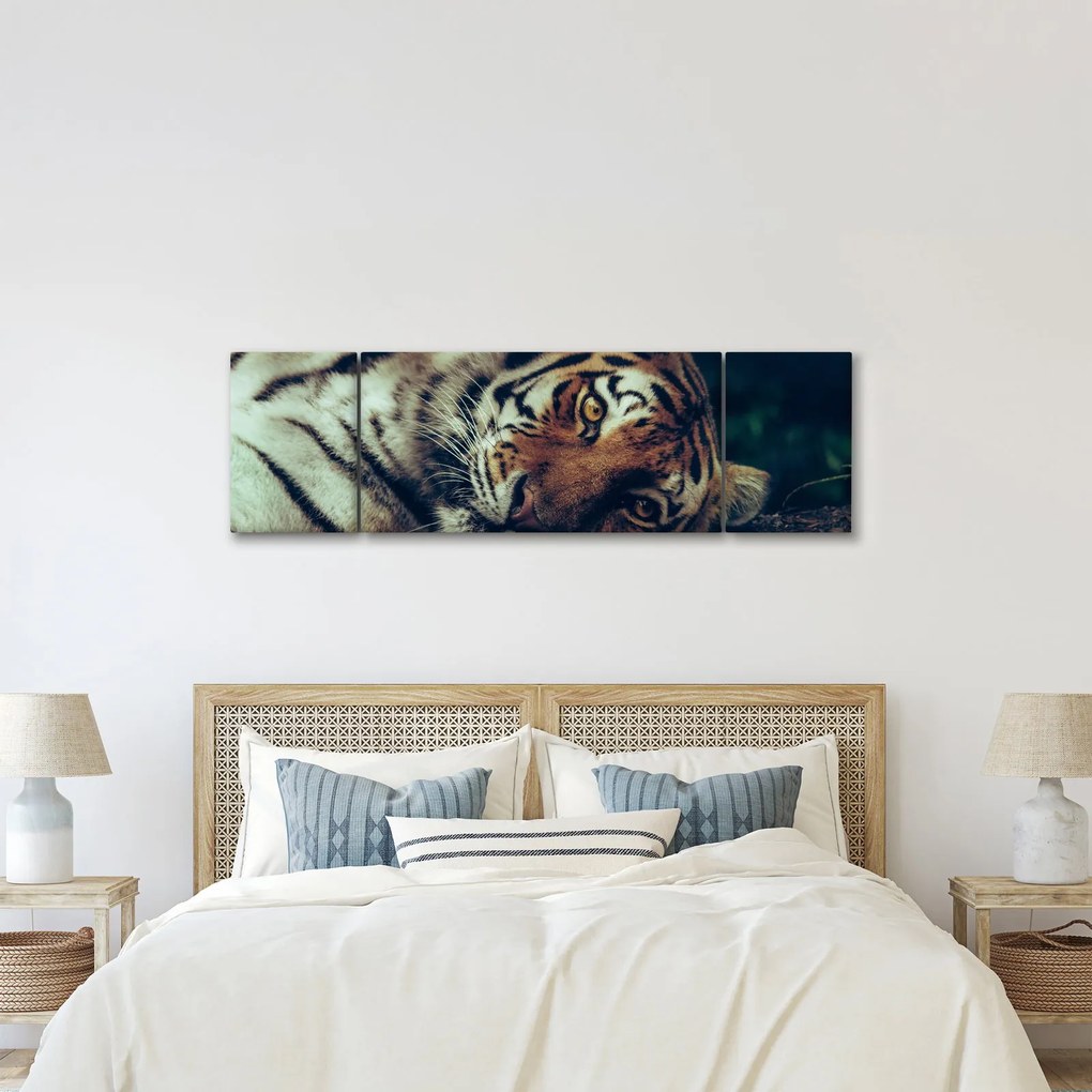 Obraz - tygrys syberyjski (170x50 cm)