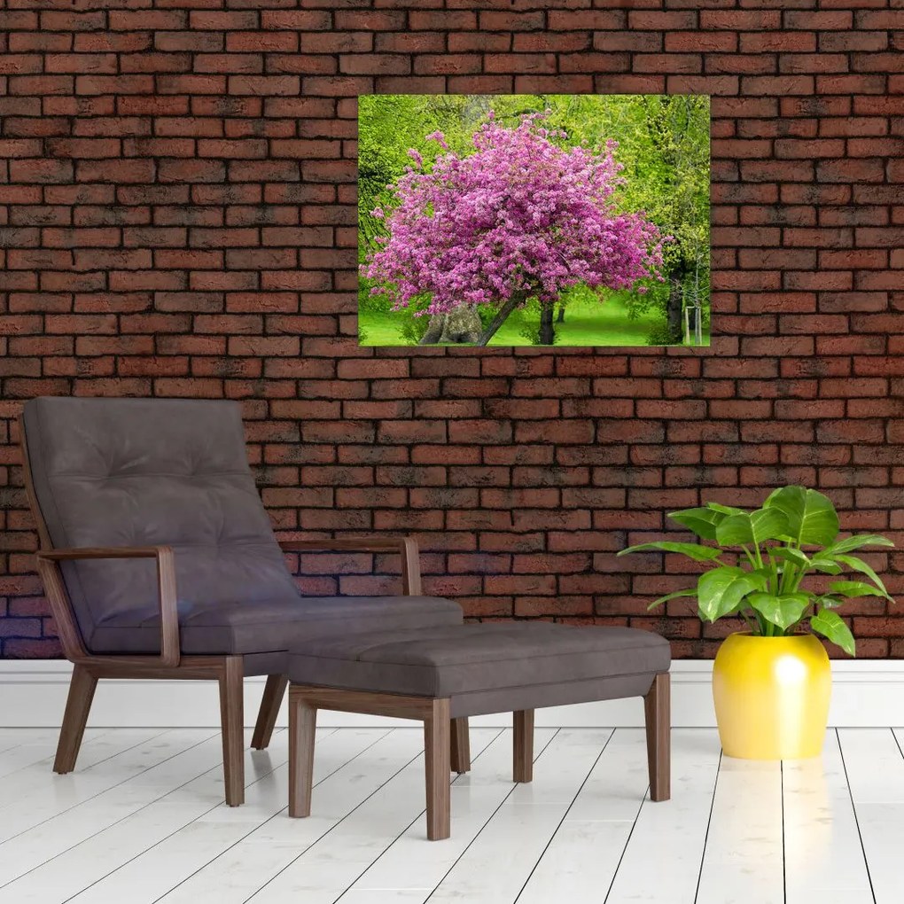 Obraz na szkle - kwitnące drzewo na łące (70x50 cm)