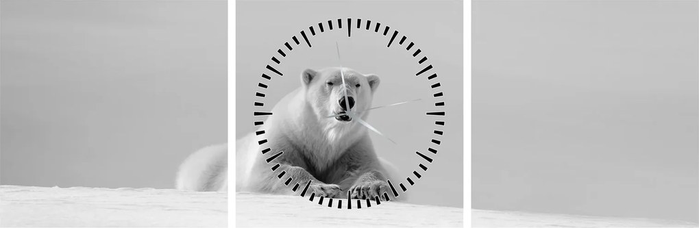 Obraz - Niedźwiedź polarny (z zegarem) (90x30 cm)