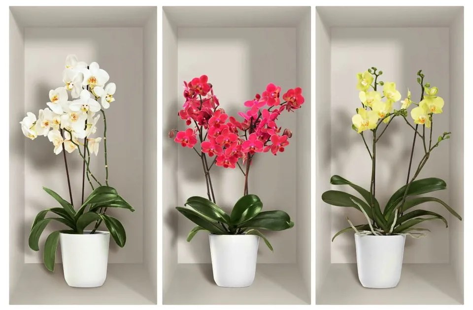 Komplet 3 naklejek ściennych 3D Ambiance Orchids