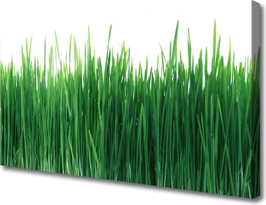 Obraz canvas Naturalna Świeżość Trawy