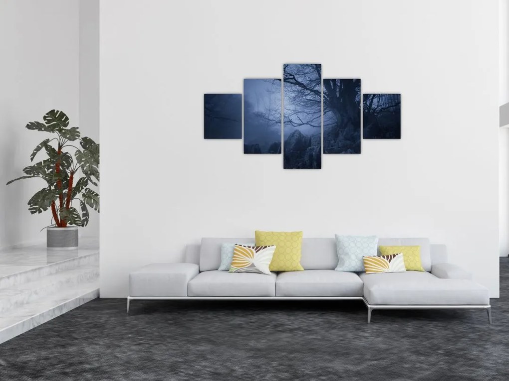 Obraz ciemnego lasu (125x70 cm)