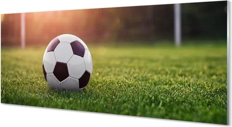 Szklany Panel Piłka w Świetle Bramki