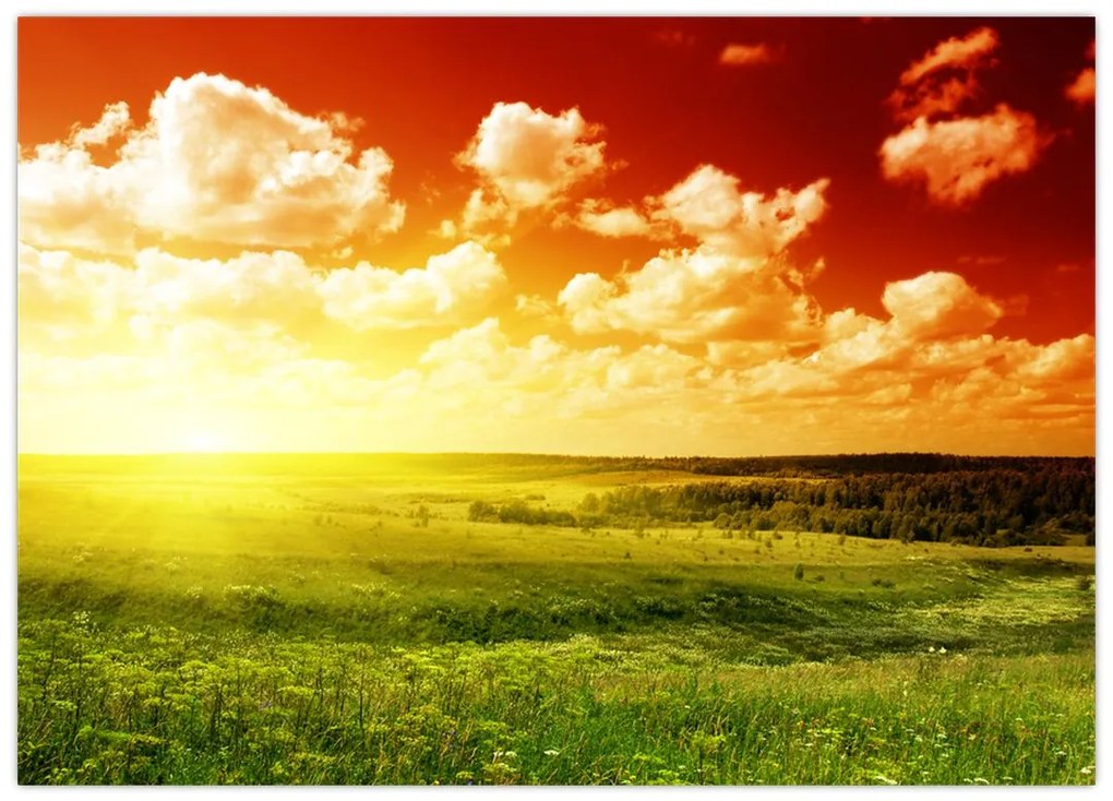 Obraz na szkle łąki ze świecącym słońcem (70x50 cm)