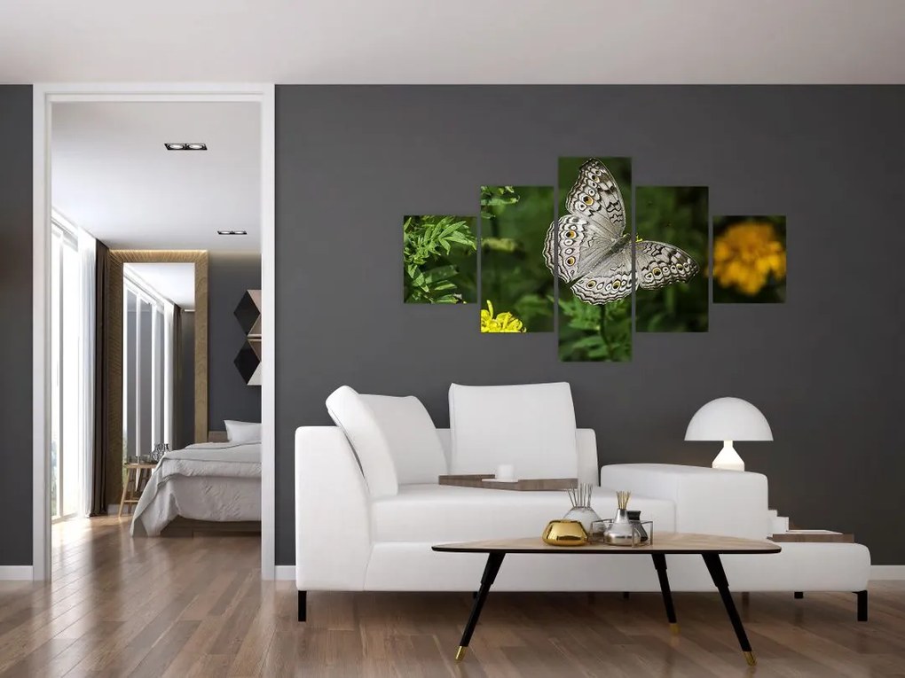 Obraz - biały motyl (125x70 cm)
