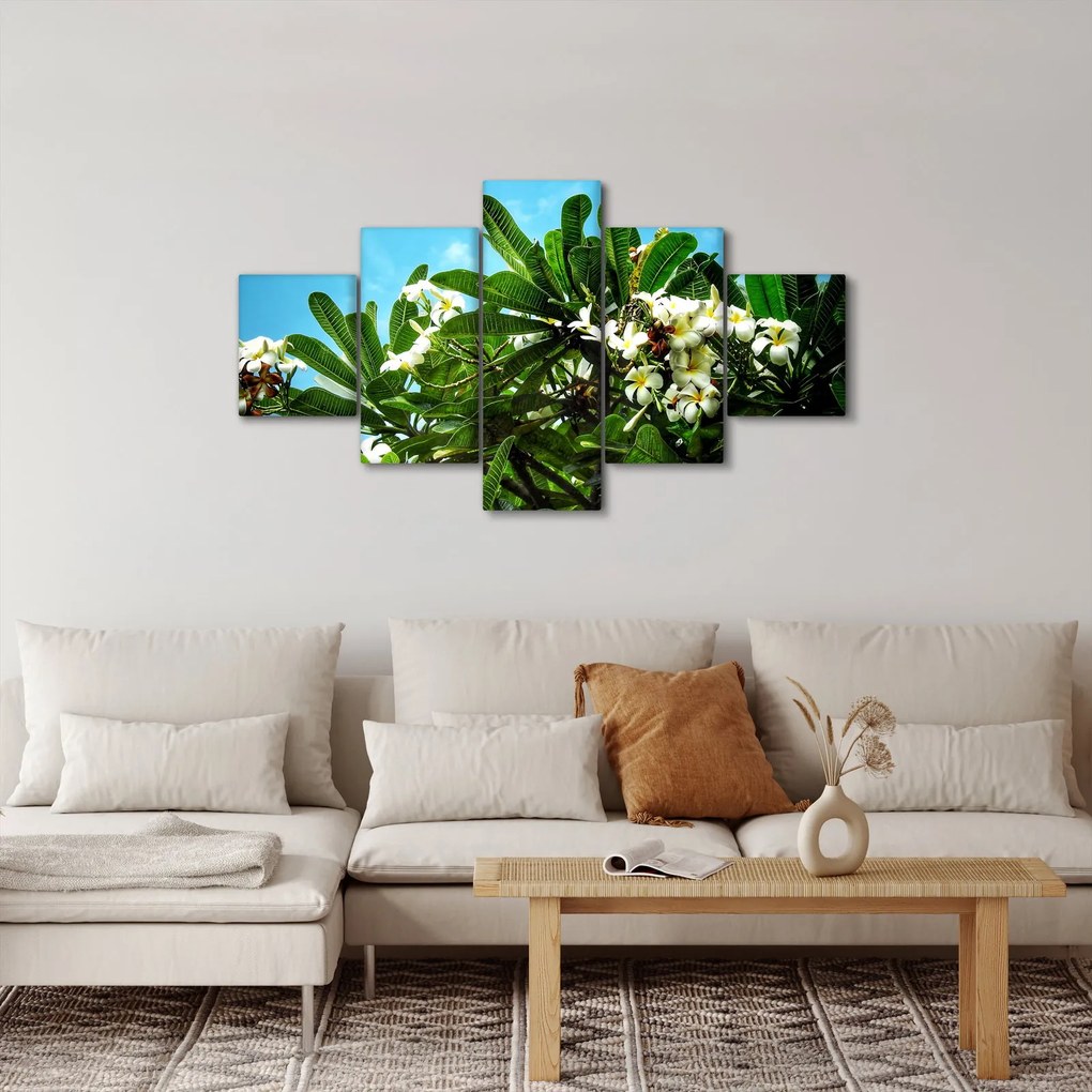 Obraz - Plumeria (125x70 cm)
