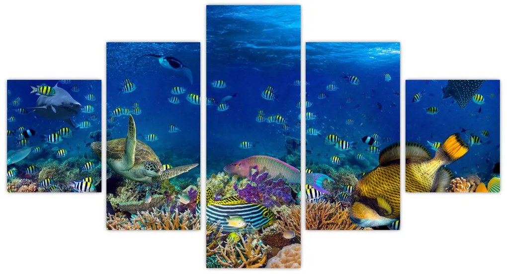 Obraz - Ocean (125x70 cm)