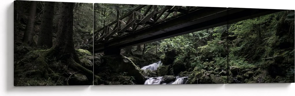 Obraz z czarnego lasu (170x50 cm)