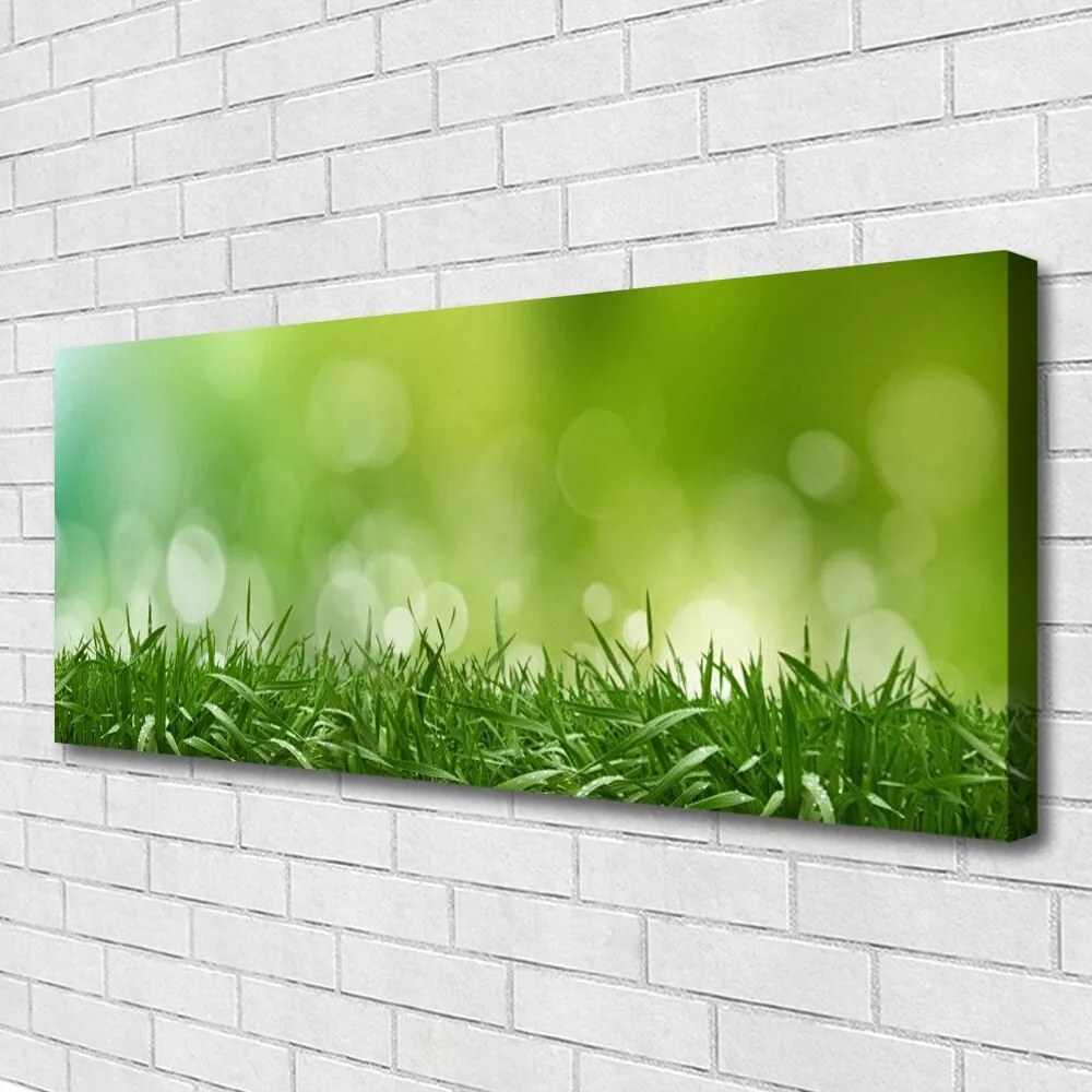 Obraz canvas Świeżość Zielonej Natury