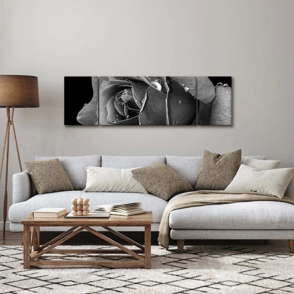 Obraz róży - czarno - biały (170x50 cm)