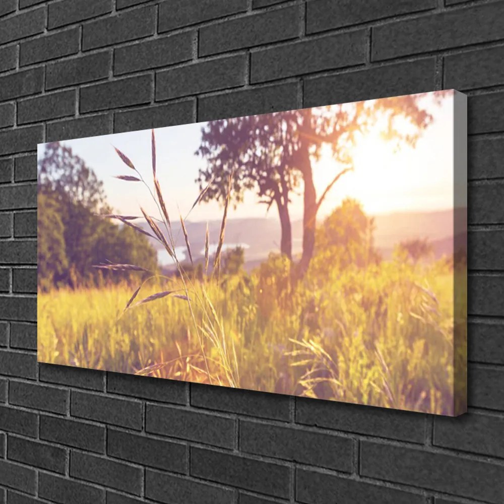 Obraz canvas Spokój Zielonej Polany