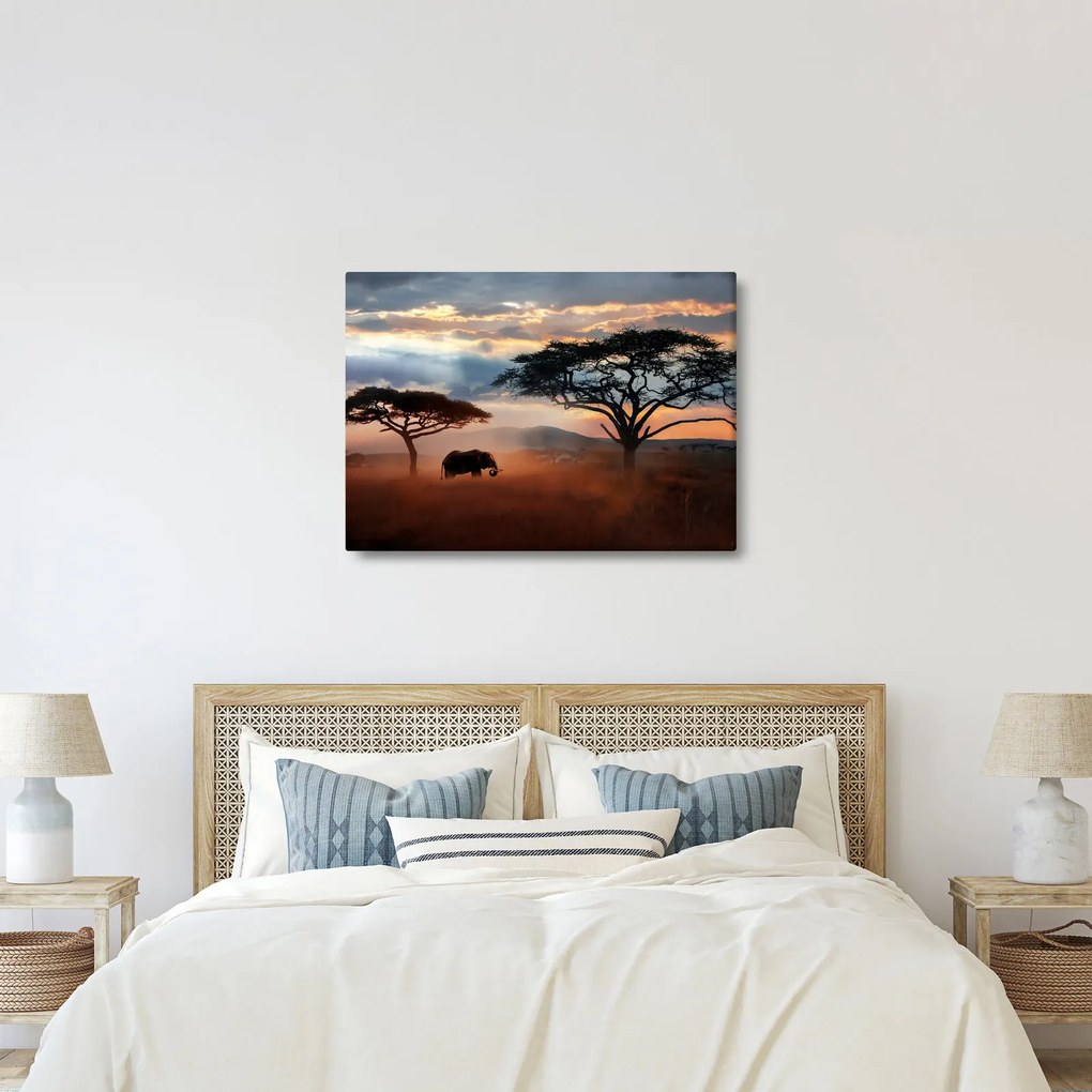 Obraz - Park Narodowy Serengeti, Tanzania, Afryka (70x50 cm)