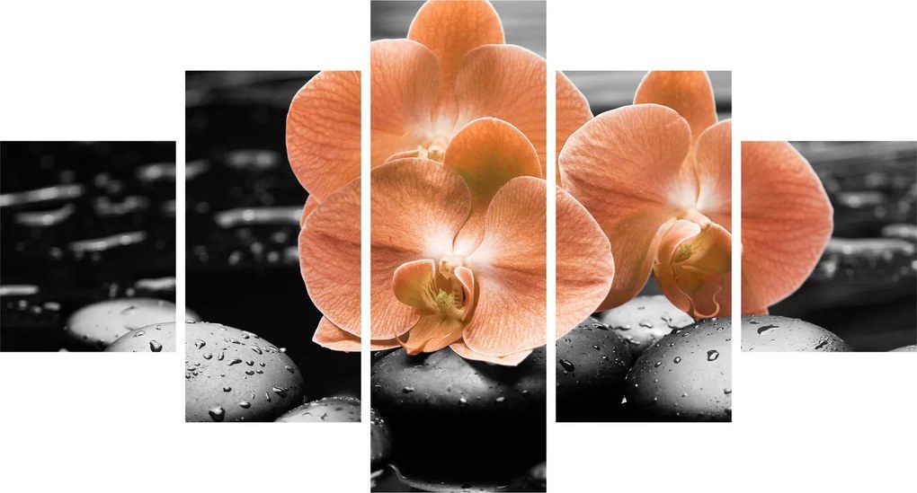 Obraz - Pomarańczowe orchidee (125x70 cm)